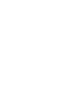 IT STEP Academy